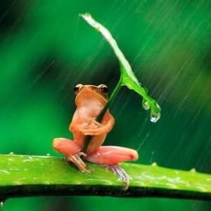 Meet your Posher, Gail